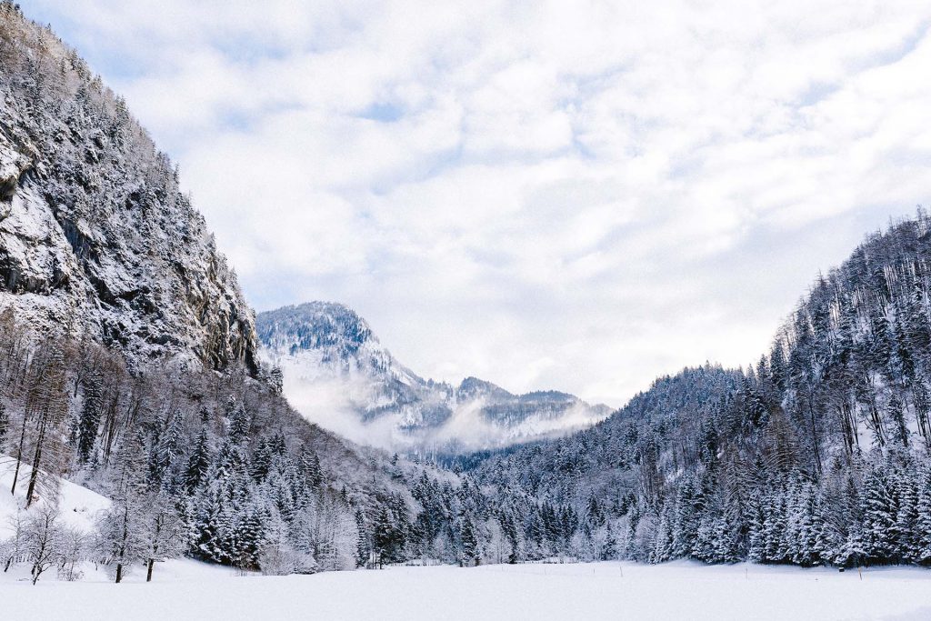 Paar Fotoshooting Wien verliebte Fotos Natur Paashooting Posen Paarfotoshooting Schnee Paarfotos