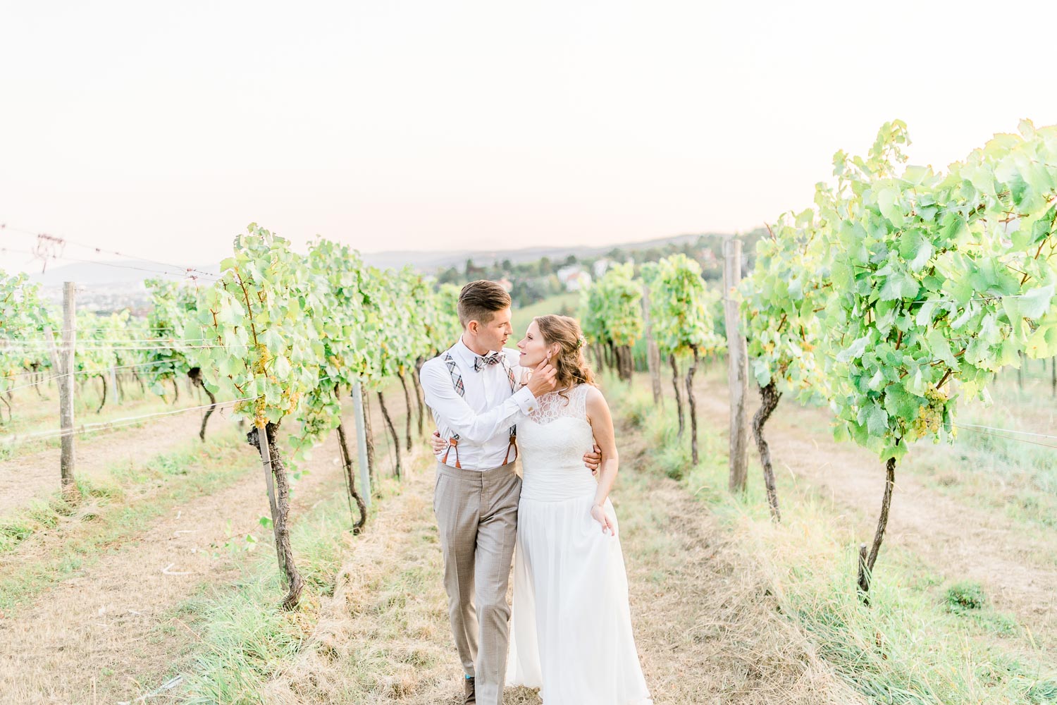 Weingarten Hochzeit Kahlenberg heiraten Mödling Sonnenuntergang Brautpaarfotos