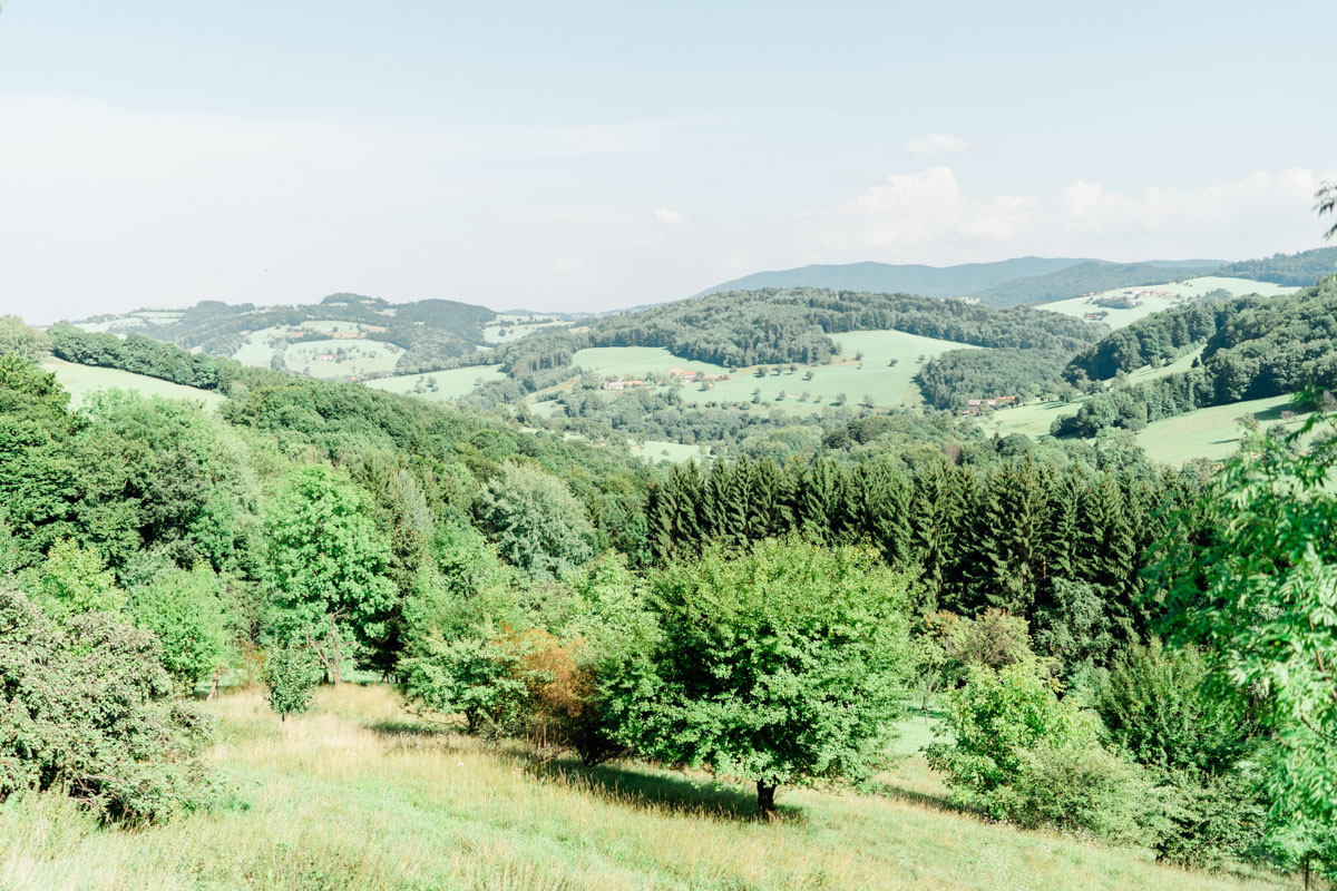 heiraten Refugium Hochstrass Hochzeit im Freien heiraten standesamtliche Trauung Zeremonie greenery Hochzeit Brautpaarfotos Wald Rauchbomben Brautportrait