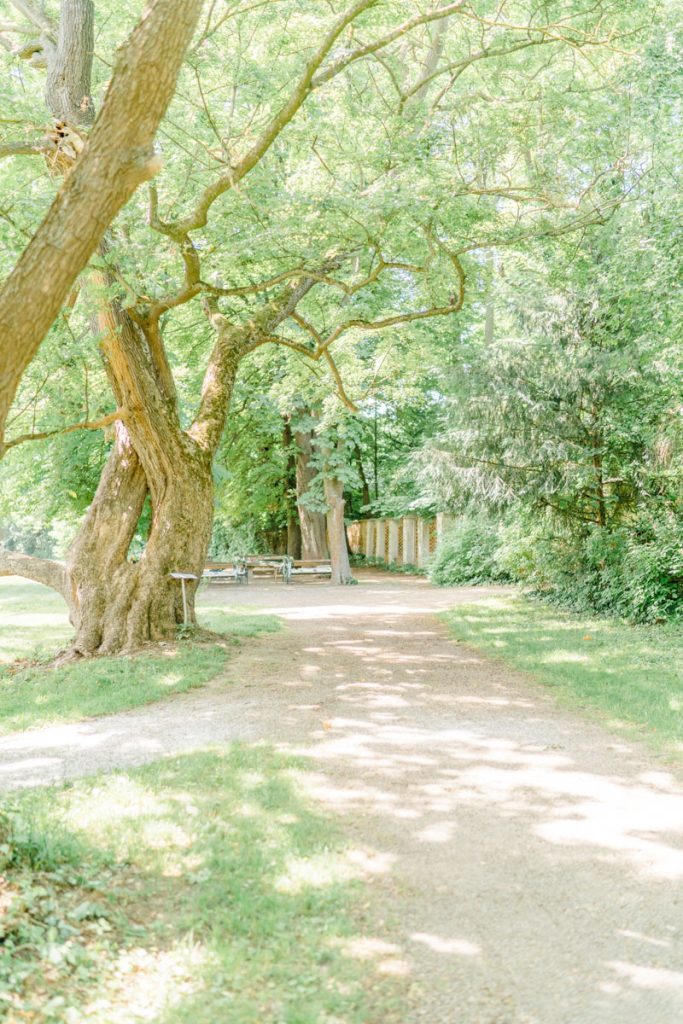 DeniseKerstin Hochzeitsfotograf Schlosspark Mühlbach am Manhartsberg Hochzeitslocation Hochzeit am Gut Fotograf Wien heiraten Hochzeitsfotos Trauung unter Bäumen heiraten Zeremonie