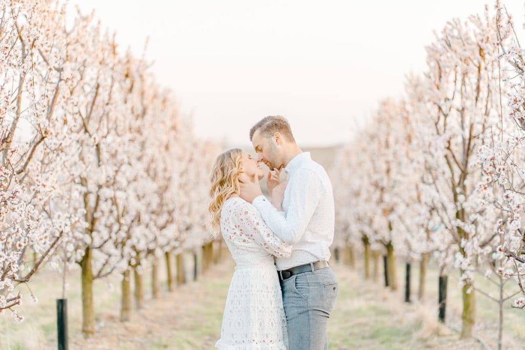 Frühlingshochzeit Paarfotos Wachau Marillenblüte Brautpaarshooting