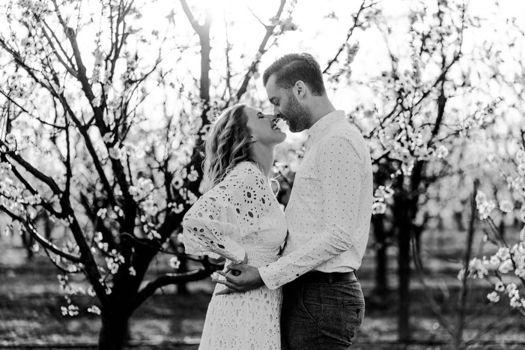 Frühlingshochzeit Paarfotos Wachau Marillenblüte Brautpaarshooting