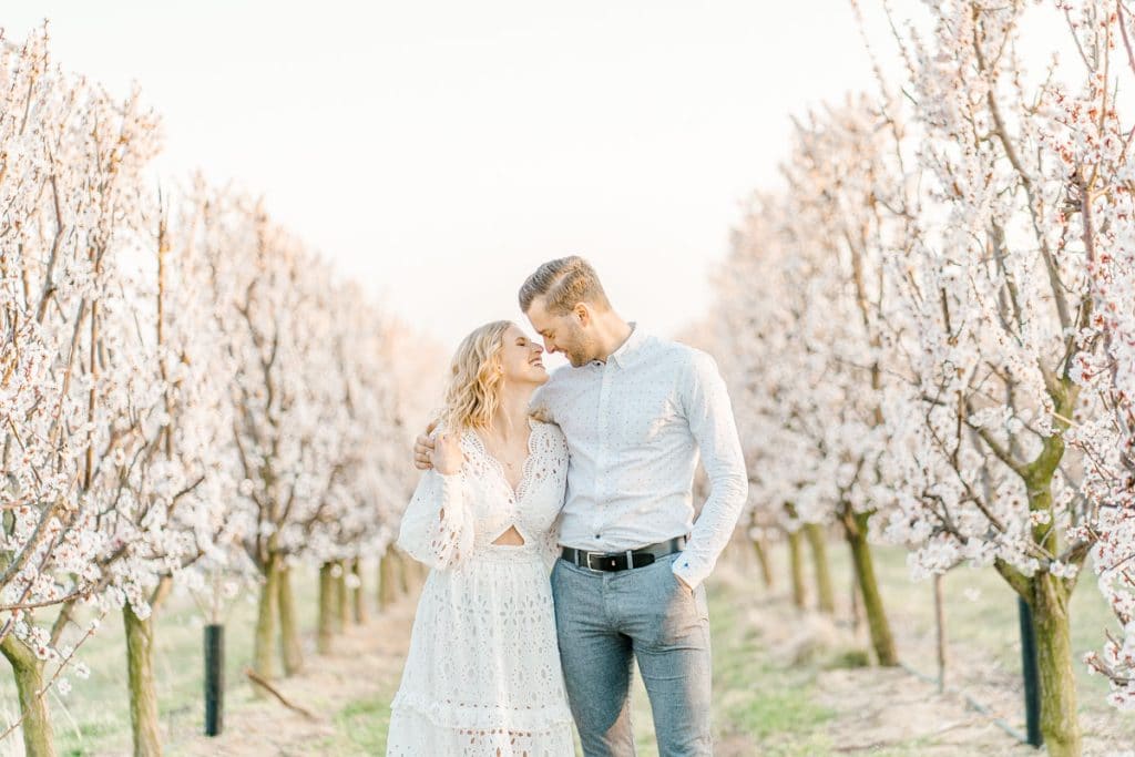 Frühlingshochzeit Paarfotos Wachau Marillenblüte Brautpaarshooting