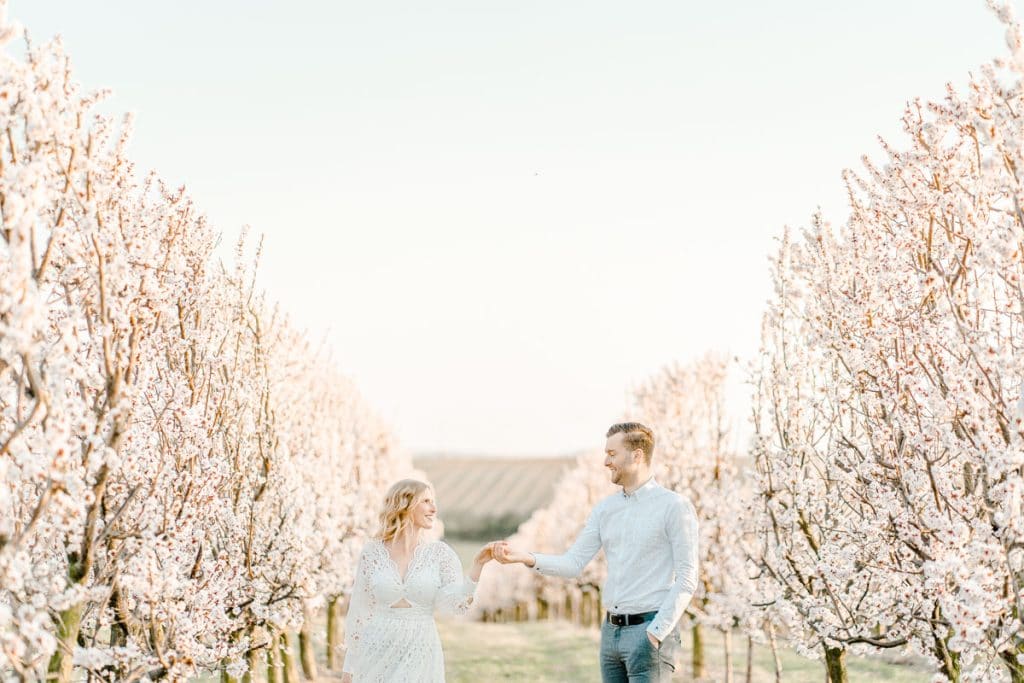 Frühlingshochzeit Paarfotos Wachau Marillenblüte Brautpaarshooting