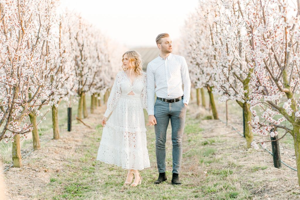 Frühlingshochzeit Paarfotos Wachau Marillenblüte Brautpaarshooting