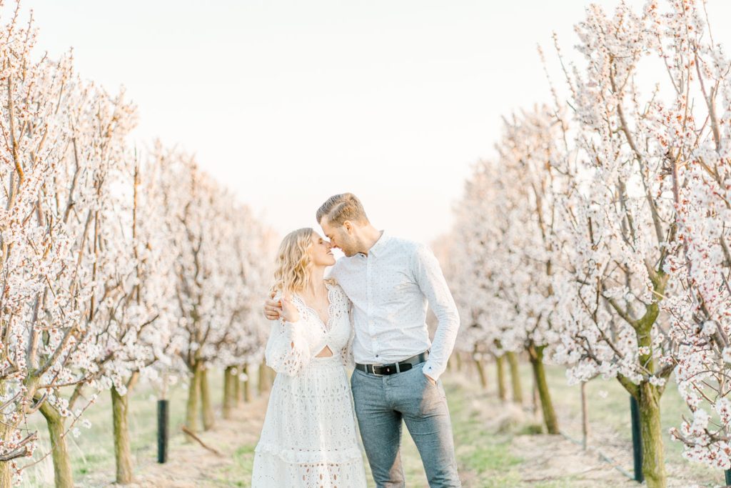 Frühlingshochzeit Paarfotos Wachau Marillenblüte Brautpaarshooting
