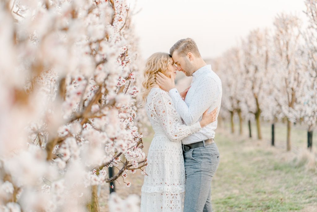 Frühlingshochzeit Paarfotos Wachau Marillenblüte Brautpaarshooting