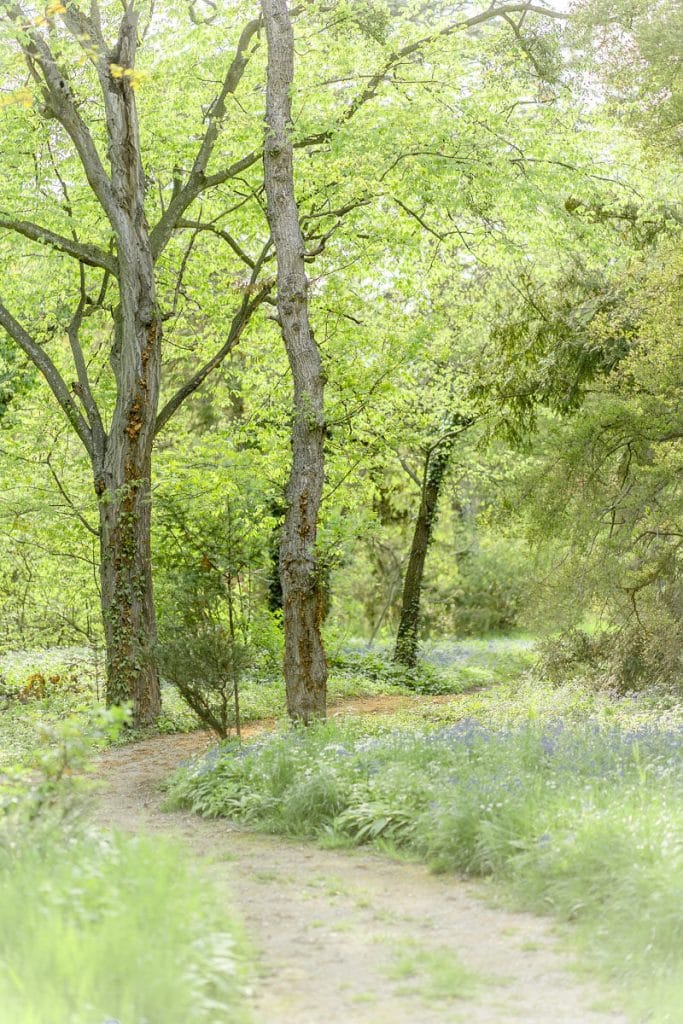 DeniseKerstin Wien Hochzeitsfotograf Schloss Schönau heiraten schlosshochzeit hochzeitslocation-wien hochzeitslocation niederösterreich Schloss