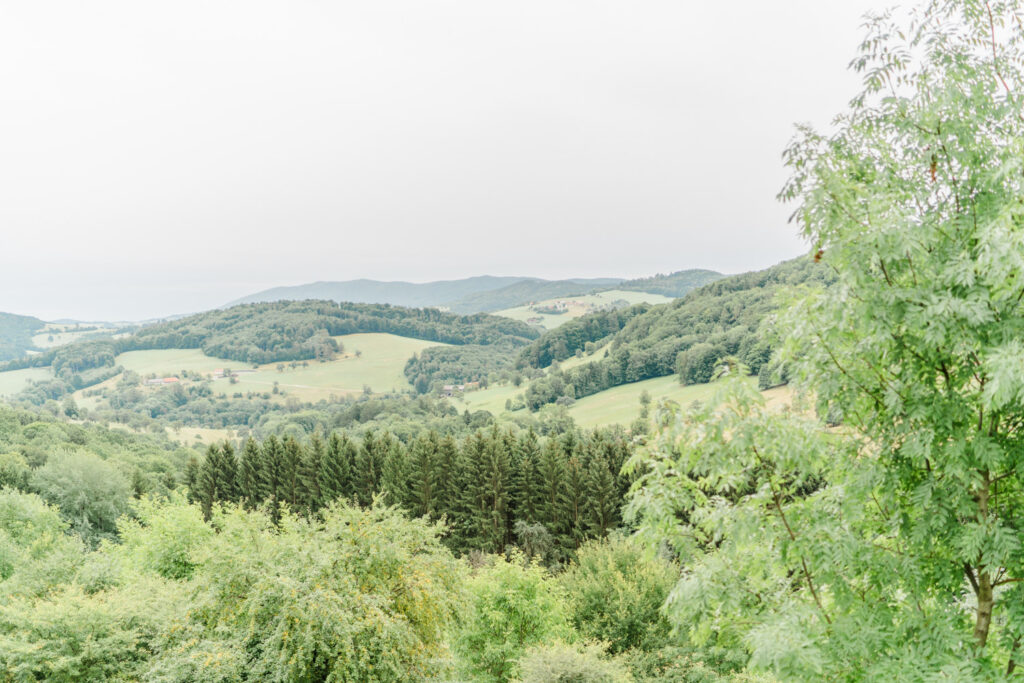 Hochzeitslocation Refugium Hochstrass heiraten, Berge Hochzeit, am Wasser heiraten Niederösterreich, Seehochzeit, Hochzeit am Teich, Refugium Hochstrass heiraten, Traubogen, Hochzeitslocation Wien Umgebung