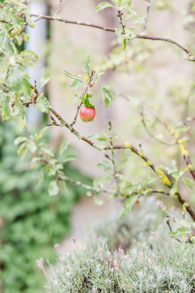 Hochzeitslocation Refugium Hochstrass heiraten, Berge Hochzeit, am Wasser heiraten Niederösterreich, Seehochzeit, Hochzeit am Teich, Refugium Hochstrass heiraten, Traubogen, Hochzeitslocation Wien Umgebung